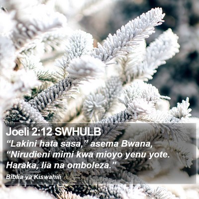 Joeli 2:12 SWHULB Bible Verse Image