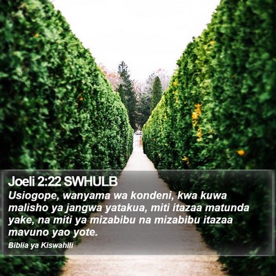 Joeli 2:22 SWHULB Bible Verse Image
