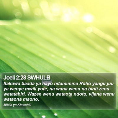 Joeli 2:28 SWHULB Bible Verse Image