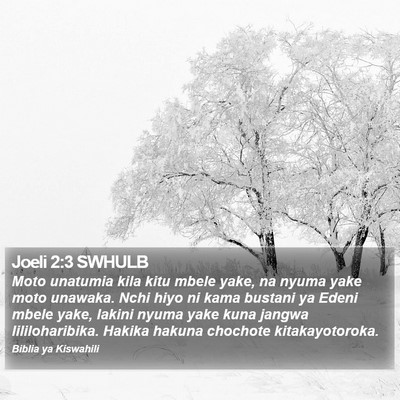 Joeli 2:3 SWHULB Bible Verse Image