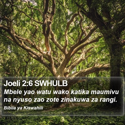 Joeli 2:6 SWHULB Bible Verse Image