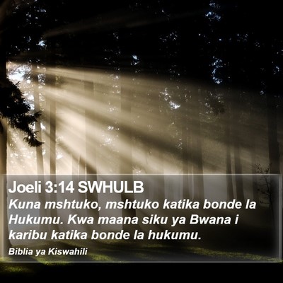 Joeli 3:14 SWHULB Bible Verse Image
