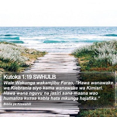Kutoka 1:19 SWHULB Bible Verse Image