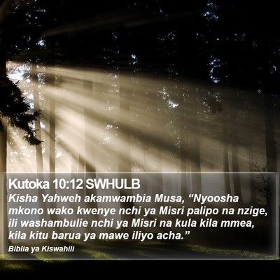 Kutoka 10:12 SWHULB Bible Verse Image