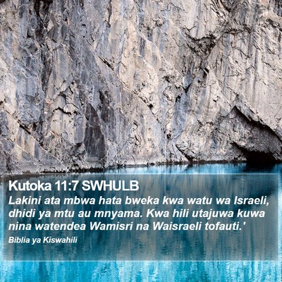 Kutoka 11:7 SWHULB Bible Verse Image