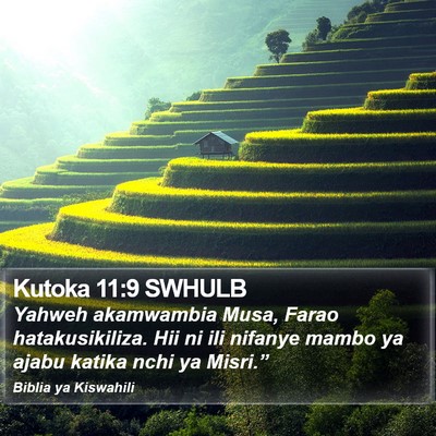 Kutoka 11:9 SWHULB Bible Verse Image