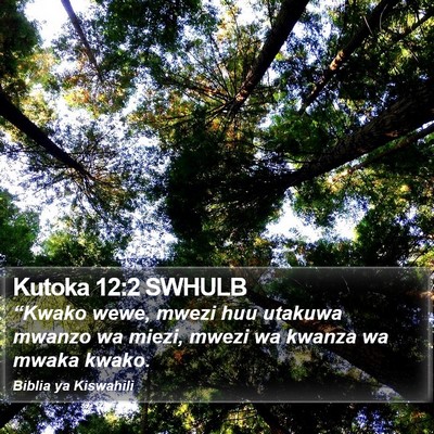 Kutoka 12:2 SWHULB Bible Verse Image