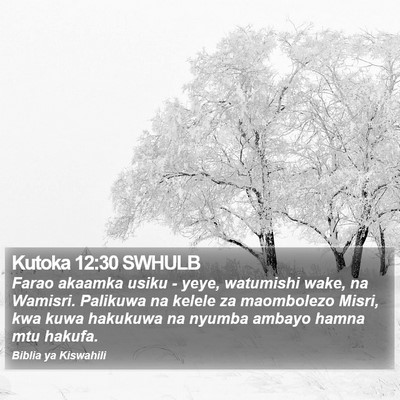Kutoka 12:30 SWHULB Bible Verse Image