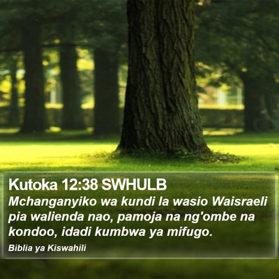 Kutoka 12:38 SWHULB Bible Verse Image