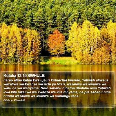 Kutoka 13:15 SWHULB Bible Verse Image