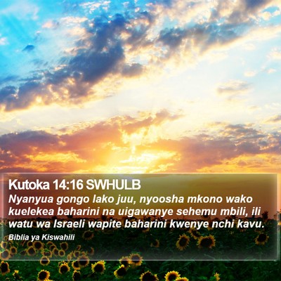 Kutoka 14:16 SWHULB Bible Verse Image