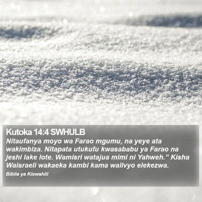 Kutoka 14:4 SWHULB Bible Verse Image