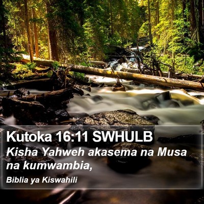Kutoka 16:11 SWHULB Bible Verse Image