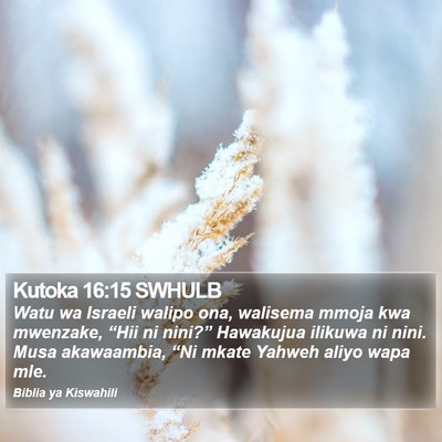Kutoka 16:15 SWHULB Bible Verse Image