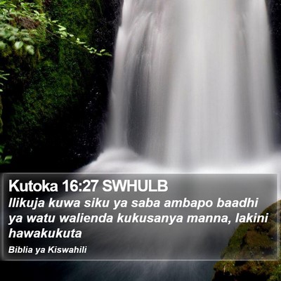 Kutoka 16:27 SWHULB Bible Verse Image