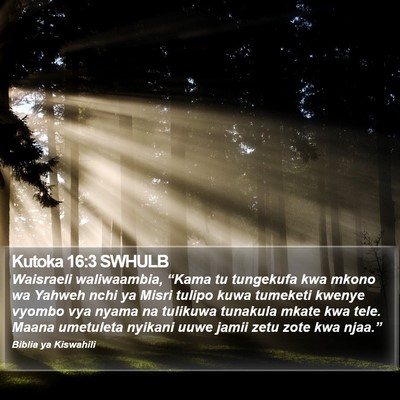 Kutoka 16:3 SWHULB Bible Verse Image