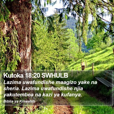 Kutoka 18:20 SWHULB Bible Verse Image