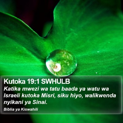 Kutoka 19:1 SWHULB Bible Verse Image
