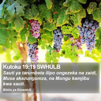 Kutoka 19:19 SWHULB Bible Verse Image