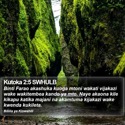 Kutoka 2:5 SWHULB Bible Verse Image