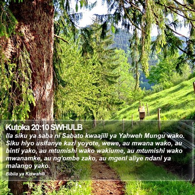 Kutoka 20:10 SWHULB Bible Verse Image