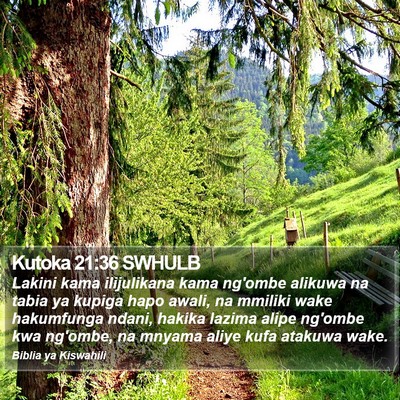 Kutoka 21:36 SWHULB Bible Verse Image