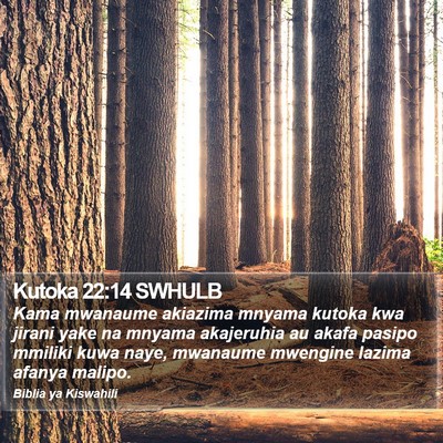 Kutoka 22:14 SWHULB Bible Verse Image