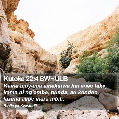 Kutoka 22:4 SWHULB Bible Verse Image