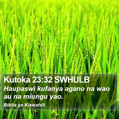 Kutoka 23:32 SWHULB Bible Verse Image
