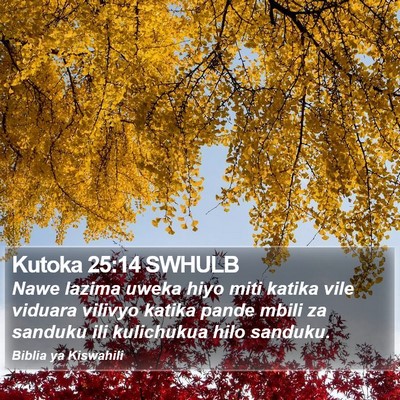Kutoka 25:14 SWHULB Bible Verse Image