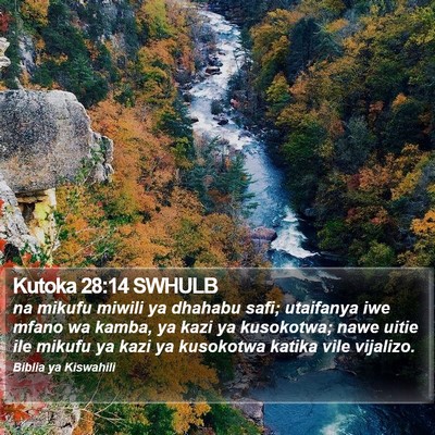 Kutoka 28:14 SWHULB Bible Verse Image