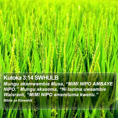 Kutoka 3:14 SWHULB Bible Verse Image