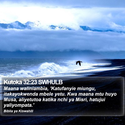 Kutoka 32:23 SWHULB Bible Verse Image