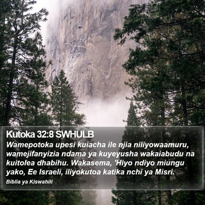 Kutoka 32:8 SWHULB Bible Verse Image