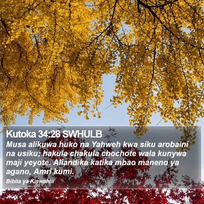 Kutoka 34:28 SWHULB Bible Verse Image