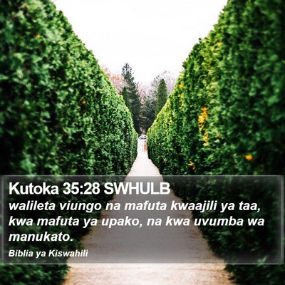 Kutoka 35:28 SWHULB Bible Verse Image