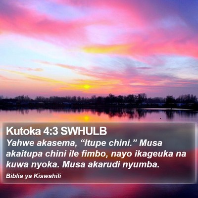 Kutoka 4:3 SWHULB Bible Verse Image