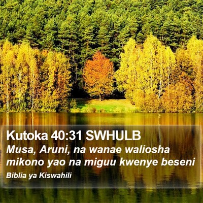 Kutoka 40:31 SWHULB Bible Verse Image