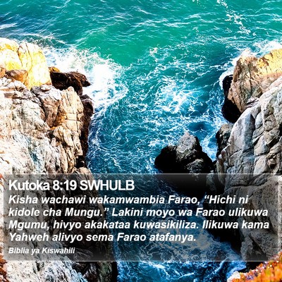 Kutoka 8:19 SWHULB Bible Verse Image