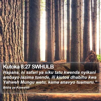 Kutoka 8:27 SWHULB Bible Verse Image