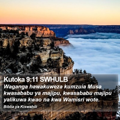 Kutoka 9:11 SWHULB Bible Verse Image
