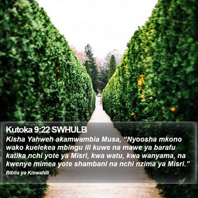 Kutoka 9:22 SWHULB Bible Verse Image