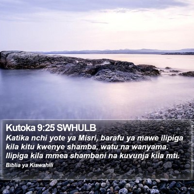 Kutoka 9:25 SWHULB Bible Verse Image