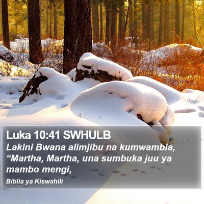 Luka 10:41 SWHULB Bible Verse Image
