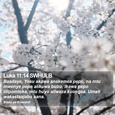 Luka 11:14 SWHULB Bible Verse Image