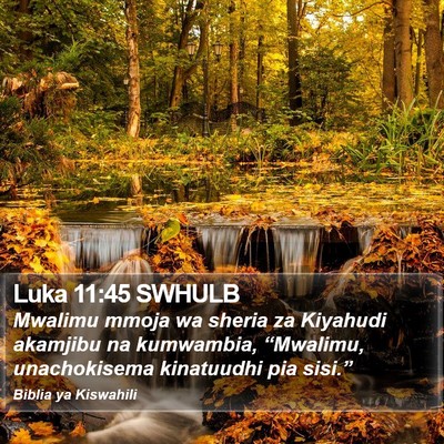 Luka 11:45 SWHULB Bible Verse Image