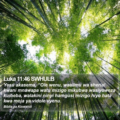 Luka 11:46 SWHULB Bible Verse Image