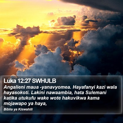 Luka 12:27 SWHULB Bible Verse Image