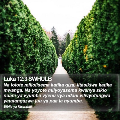 Luka 12:3 SWHULB Bible Verse Image