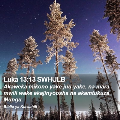 Luka 13:13 SWHULB Bible Verse Image